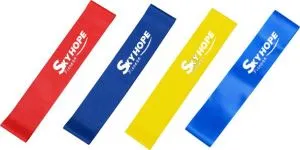 วงวนความต้านทาน